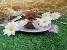 Lade das Bild in den Galerie-Viewer, Hot Cross Bun Bubbleduck Soap