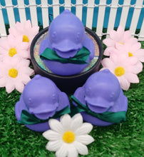 Load image into Gallery viewer, Lavender Bubbleduck Soap