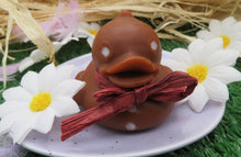 Load image into Gallery viewer, Gingerbread Bubbleduck Soap