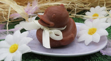 Lade das Bild in den Galerie-Viewer, Hot Cross Bun Bubbleduck Soap