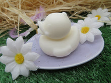 Load image into Gallery viewer, The Naked Bubbleduck Soap