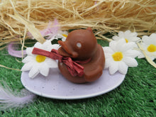 Load image into Gallery viewer, Gingerbread Bubbleduck Soap