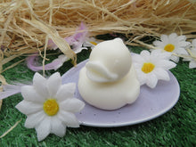 Load image into Gallery viewer, The Naked Bubbleduck Soap