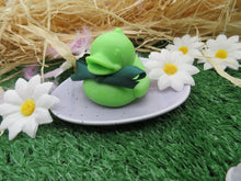 Load image into Gallery viewer, Lemongrass Bubble Duck
