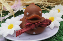 Load image into Gallery viewer, Gingerbread BubbleDuck soap
